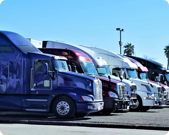 Row of trucks, with a purple truck in the foreground.