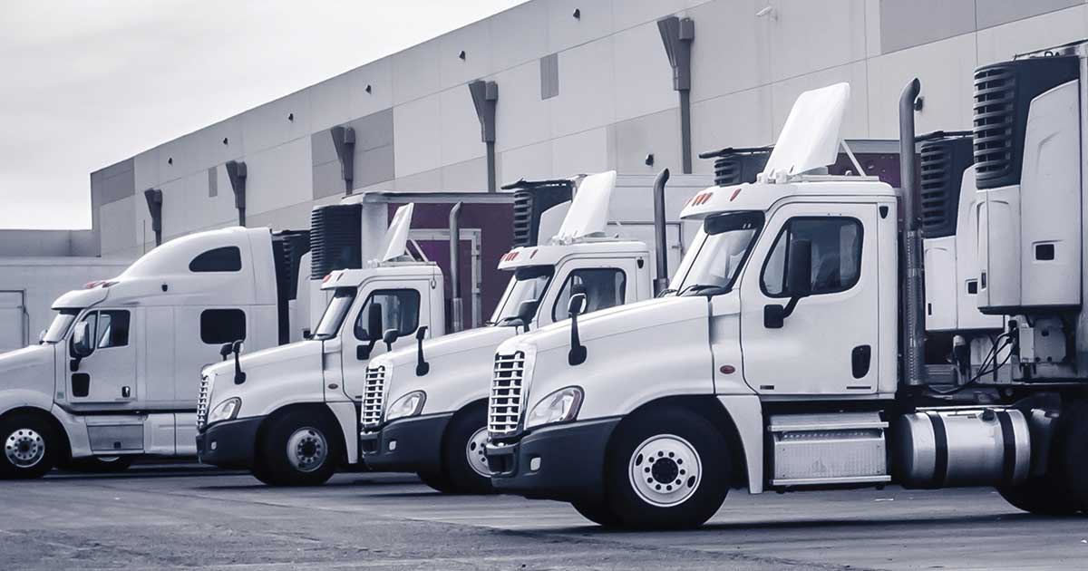 White trucks lined up on a dealership lot