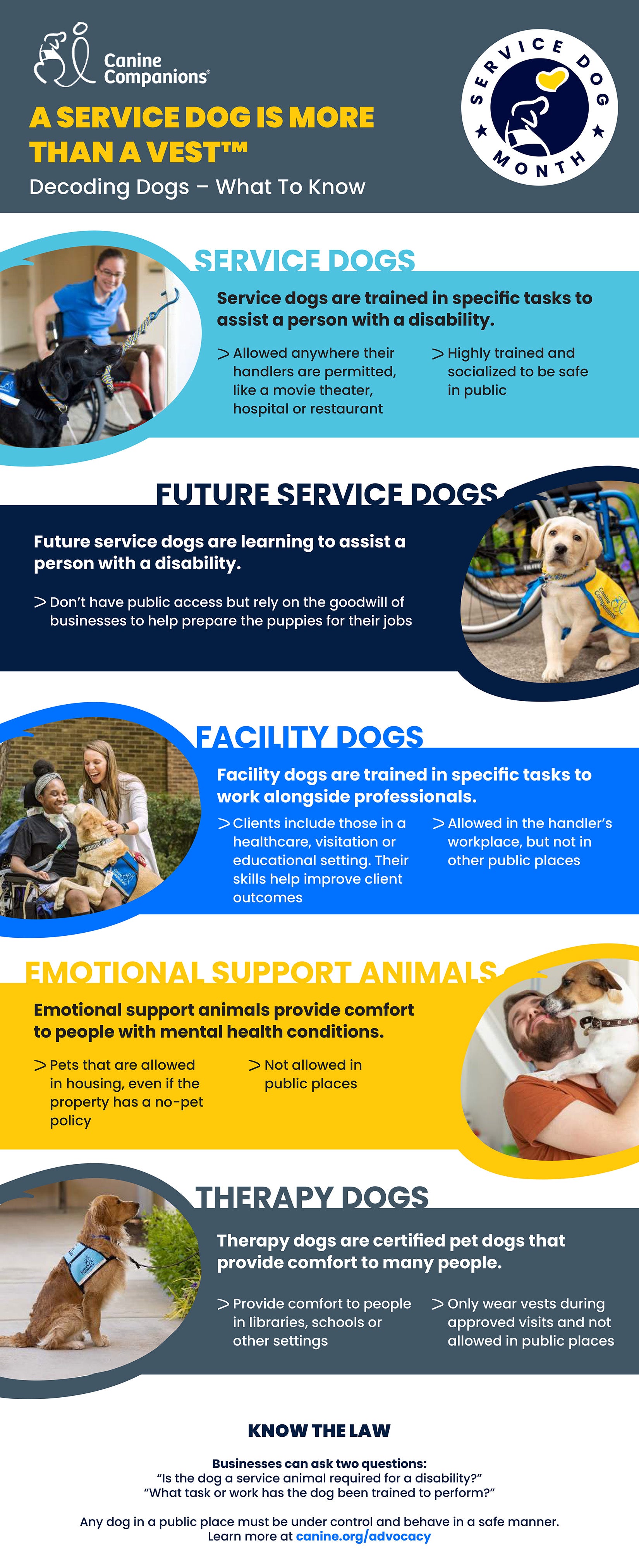 Service Dog Differences