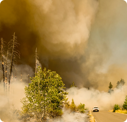Car emerging from a cloud of smoke caused by a forest fire.