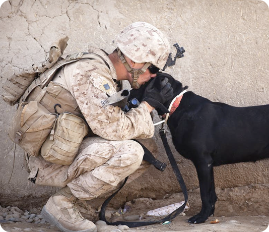 Solider and his K9