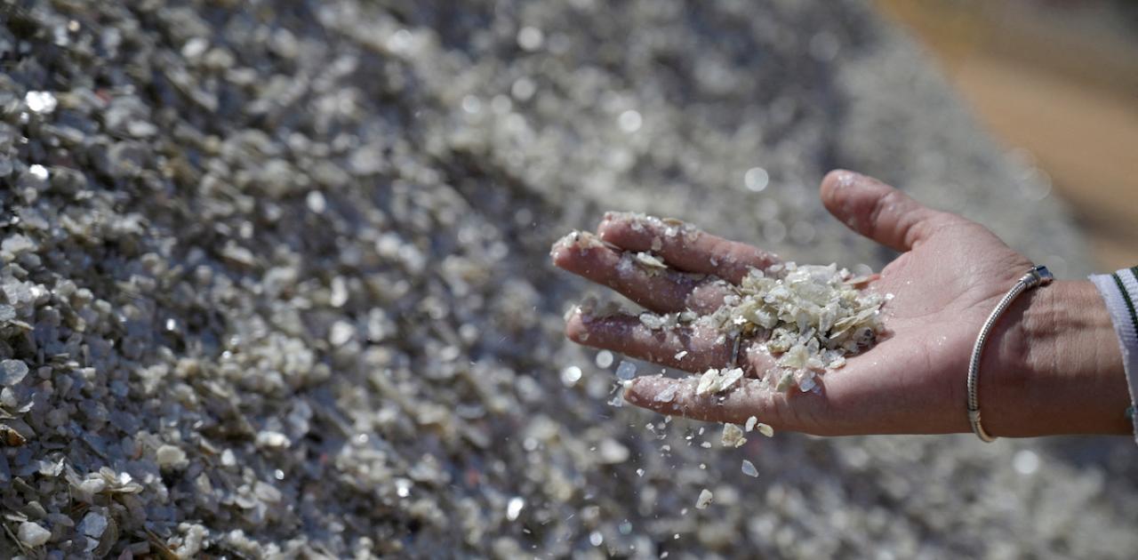 Investment in Critical Minerals in Web of Doubt, Industry Says (Reuters)
