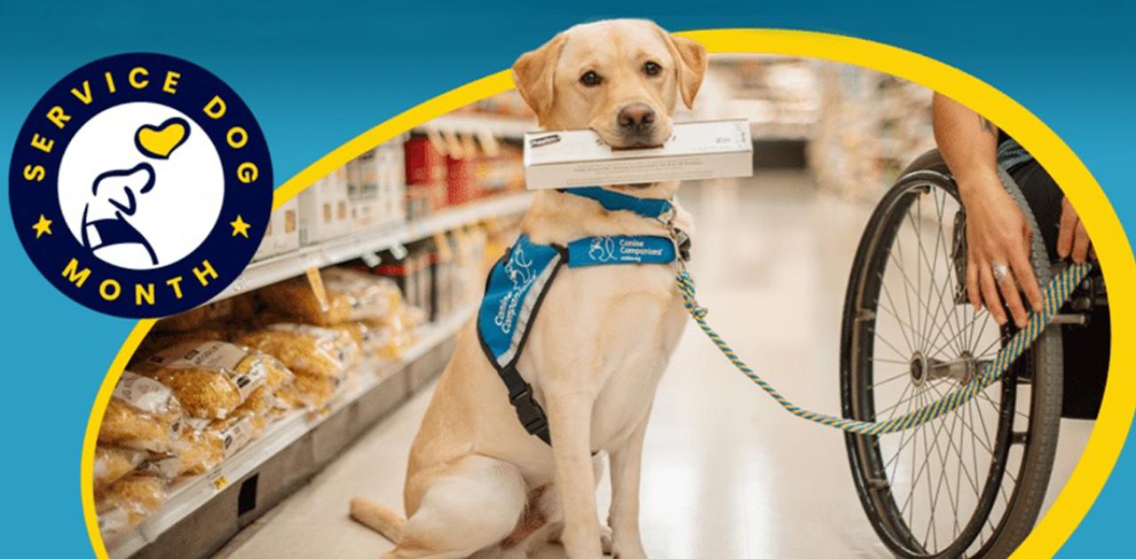 Celebrate Good Dogs and a Great Cause This National Service Dog Month