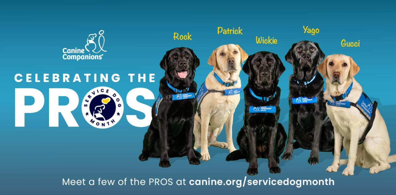 NADA Celebrates National Service Dog Month, 20-Year Relationship with Canine Companions